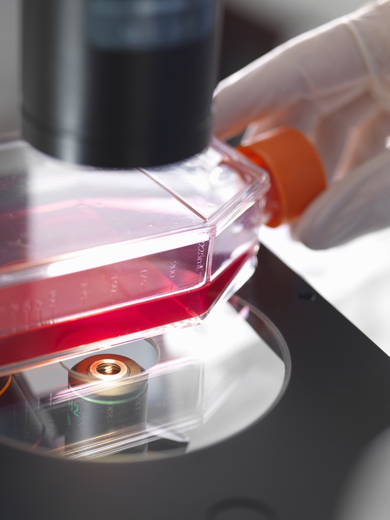 CHO-K1/ Cyno CD47 Stable Cell Line